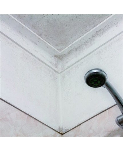 aguastop-membrana-interior-antigoteras