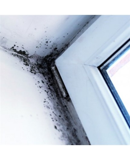 aguastop-membrana-interior-antigoteras