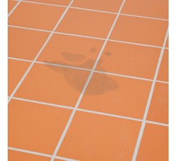 quitamanchas-profesional-para-baldosas-500ml 2