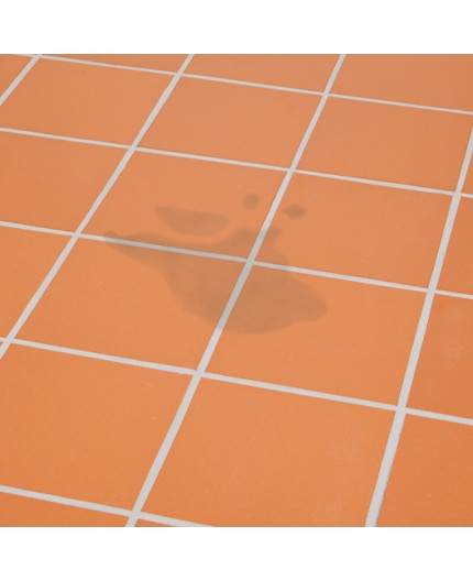 quitamanchas-profesional-para-baldosas-500ml