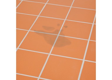 quitamanchas-profesional-para-baldosas-500ml