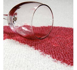 spray-antimanchas-extrafuerte-500ml 2