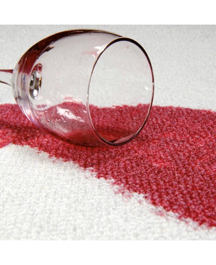 spray-antimanchas-extrafuerte-500ml