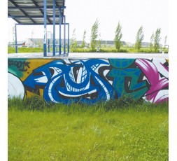 quitagraffiti-600ml 2