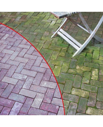 Elimina Algas y Musgo con HG Limpiador - 1L: Jardín impecable