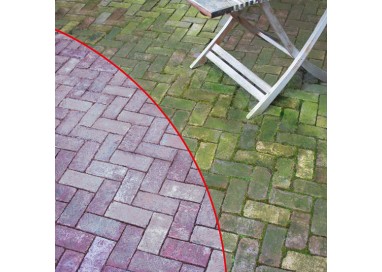 Elimina Algas y Musgo con HG Limpiador - 1L: Jardín impecable