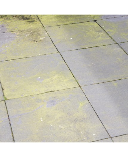 Elimina Algas y Musgo con HG Limpiador - 1L: Jardín impecable