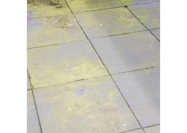 Elimina Algas y Musgo con HG Limpiador - 1L: Jardín impecable