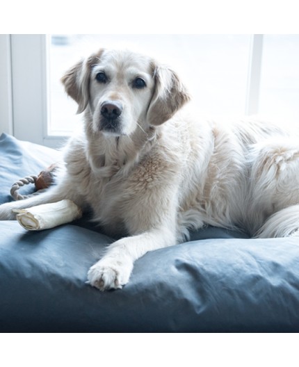 eliminador-de-mal-olor-de-basura-orines-zapatos-500ml