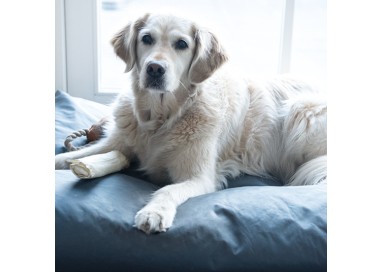 eliminador-de-mal-olor-de-basura-orines-zapatos-500ml