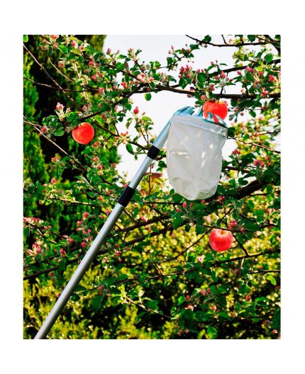 Recogedor de Frutas Telescopico Extensible de 130-240cm