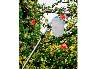 Recogedor de Frutas Telescopico Extensible de 130-240cm