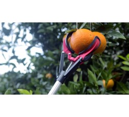 Recogefrutas Telescópico Altuna 90101 (1,3m a 2m) | Ferretería Torres 2