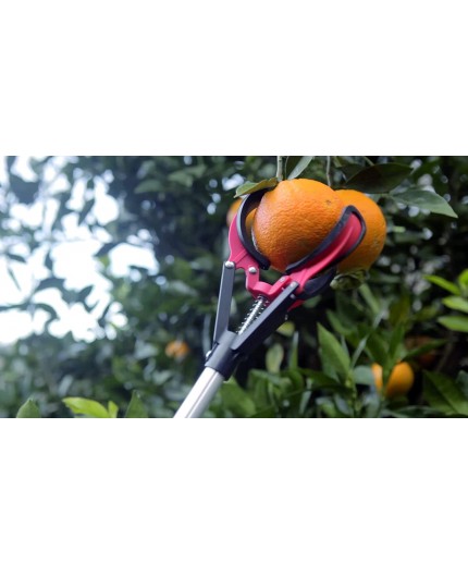 Recogefrutas Telescópico Altuna 90101 (1,3m a 2m) | Ferretería Torres