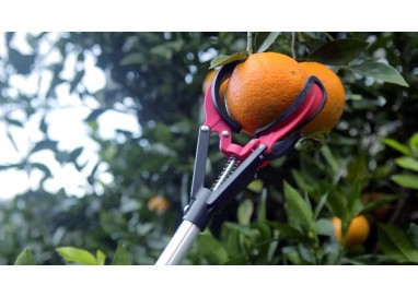 Recogefrutas de 3 pinzas telescópico - Altuna 90101