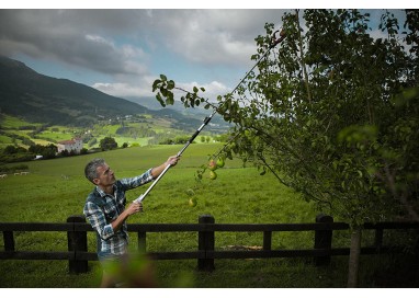 Recogefrutas de 3 pinzas telescópico - Altuna 90101