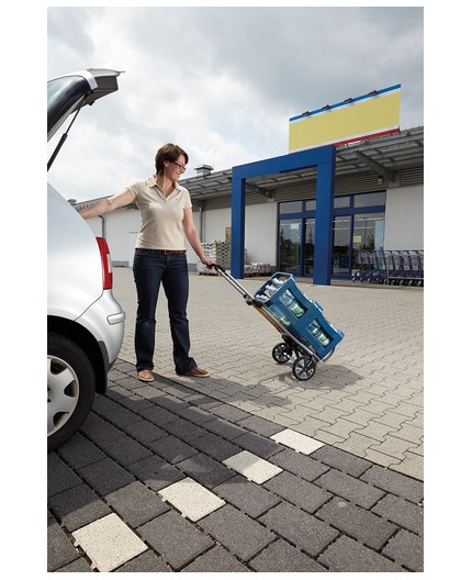 carro-de-transporte-ts-850