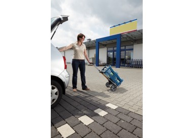 carro-de-transporte-ts-850