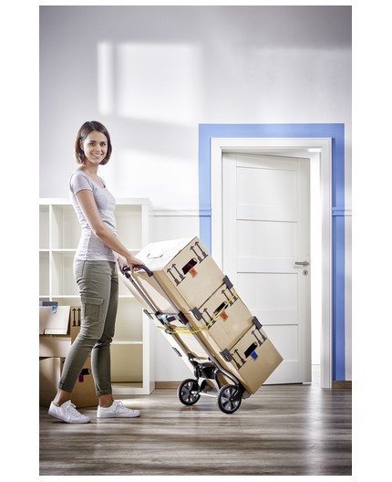 carro-de-transporte-ts-850