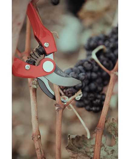 altuna-tijera-de-poda-1-mano-j469-22