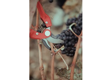 altuna-tijera-de-poda-1-mano-j469-22