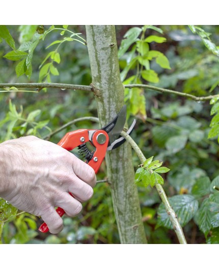 altuna-tijera-de-poda-1-mano-j469-22