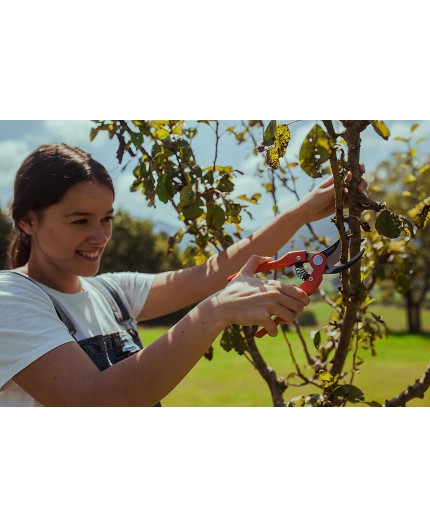 altuna-tijera-de-poda-1-mano-j469-22