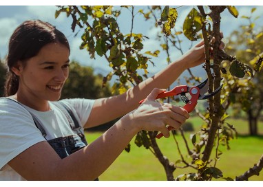 altuna-tijera-de-poda-1-mano-j469-22