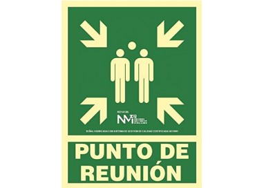 Normaluz B1G106 - Señal Luminiscente Punto De Reunion Clase B PVC 45x60cm