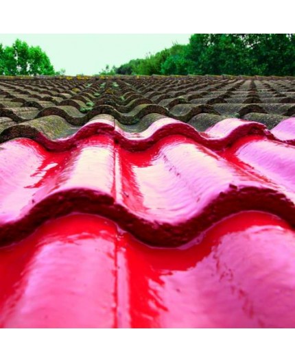 Ceys Aguastop Barrera Total Rojo 4kg | Ferretería Torres