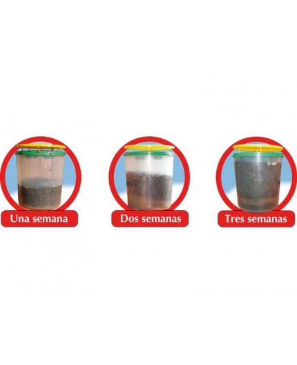 impex-killer-trap-trampa-atrapamoscas-