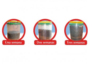 impex-killer-trap-trampa-atrapamoscas-