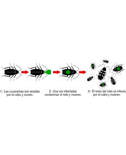 masso-preben-gel-para-cucarachas-10-gr