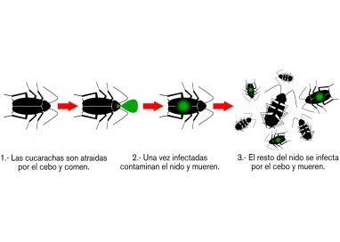 masso-preben-gel-para-cucarachas-10-gr