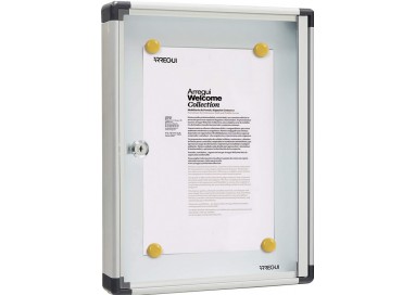 ARREGUI - PAN52 Panel de Anuncios de Aluminio y metacrilato para 1 Hoja DIN A4, Plata