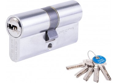 Tesa Cilindro Seguridad T60 35 x 35 Leva R15 5 Llaves - Acabado Níquel