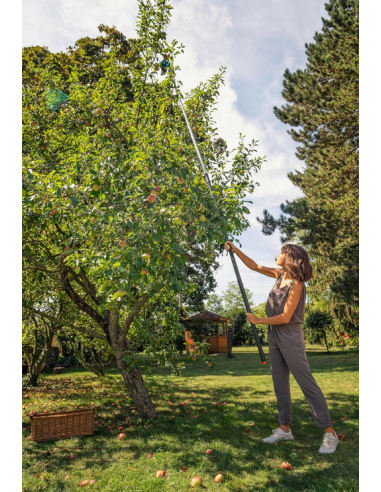 Mango telescópico 210-390 cm