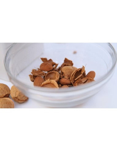 almendras en un plato