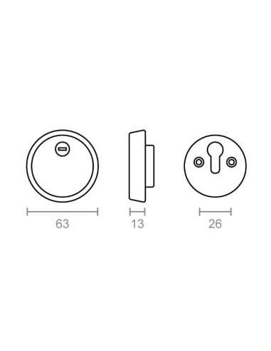 MICEL Escudo de Seguridad ES01 63 MM Latón Satinado - Protección