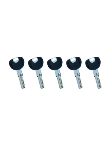 MICEL Cilindro de Seguridad CSO1 L15 35x35 MM Latonado - Protección Re