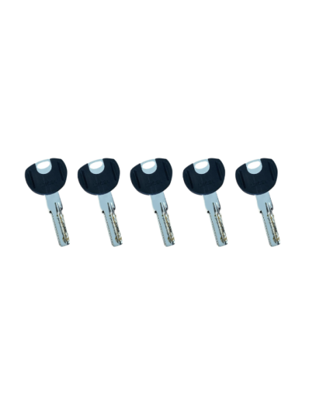 MICEL Cilindro de Seguridad CSO1 L15 35x35 MM Latonado - Protección Re