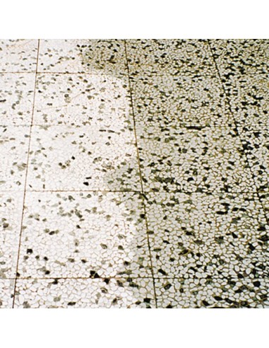 Limpiador para suelos exterior