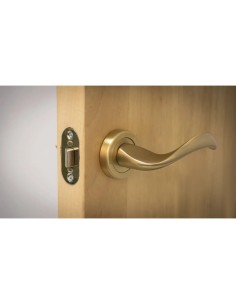 Picaporte AMIG Mod. 9-60 Acero Latonado | Entrada 60mm 2