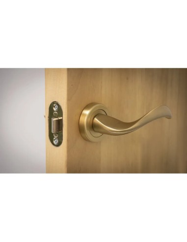 Picaporte AMIG Mod. 9-60 Acero Latonado | Entrada 60mm