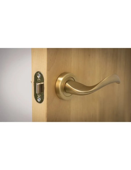 Picaporte AMIG Mod. 9-60 Acero Latonado | Entrada 60mm