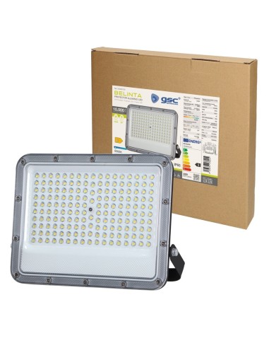 Proyector LED GSC Belinta 100W 6500K IP65 Negro
