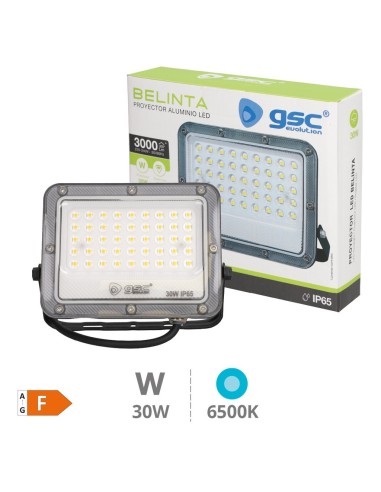 Proyector LED GSC Belinta 30W 6500K IP65 Negro