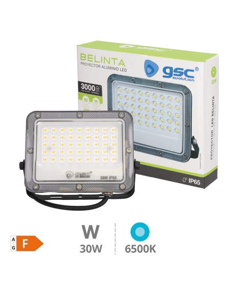 Proyector LED GSC Belinta 30W 6500K IP65 Negro