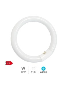 GSC - Tubo fluorescente circular T9 trifósforo 22W G10q 6400K