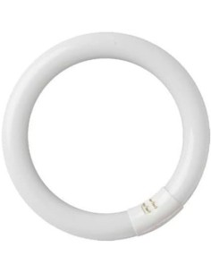 GSC - Tubo fluorescente circular T9 trifósforo 22W G10q 6400K 2